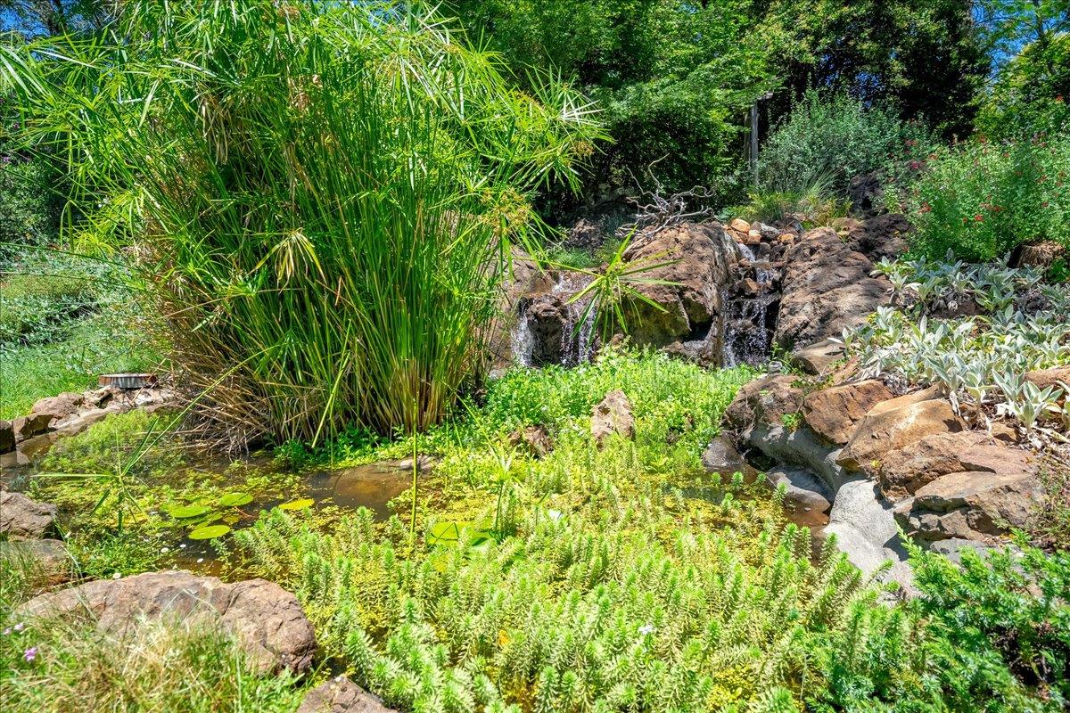 10947 East Lime Kiln Road Grass Valley, CA 95949 - Photo 62 of 94 Naturalized tiered fountain complete with fish and water plants