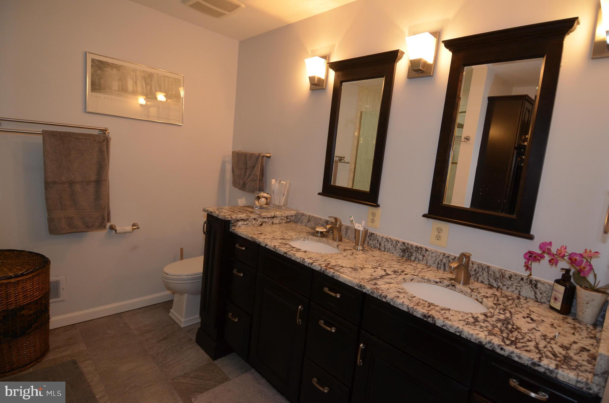 8329 Lindside Way Springfield, VA 22153 - Photo 14 of 30 Bath (Master)