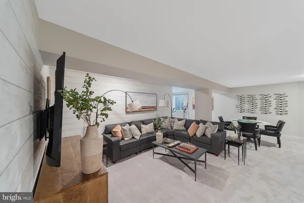 a living room with furniture rug and a potted plant