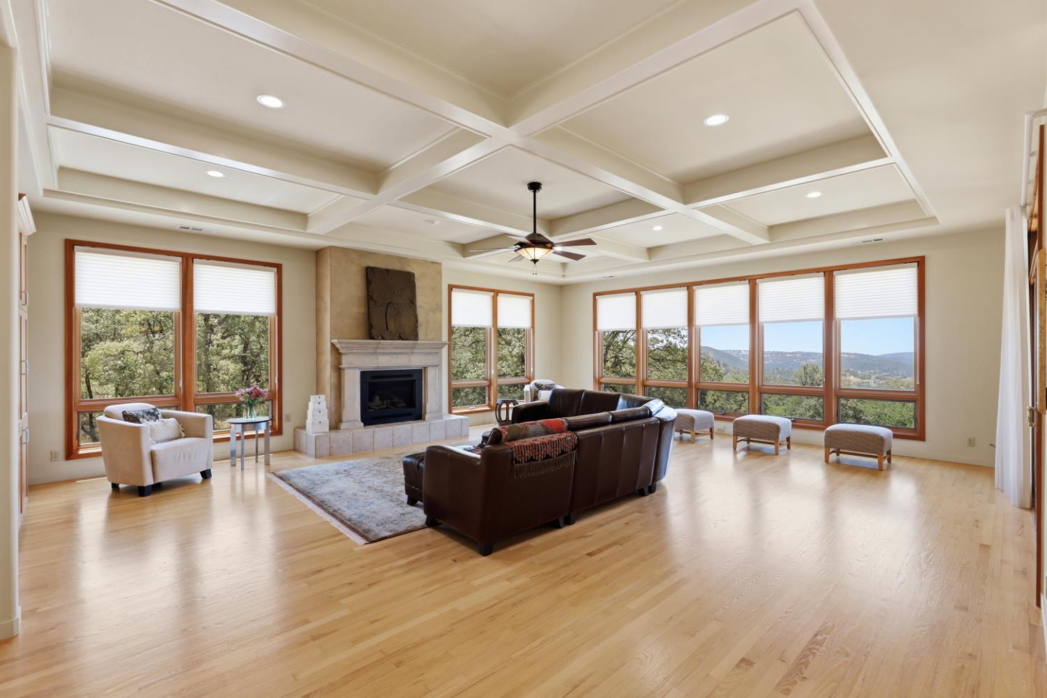 6840 Gallagher Road Pilot Hill, CA 95664 - Photo 11 of 45 The fireplace for the chilly days.