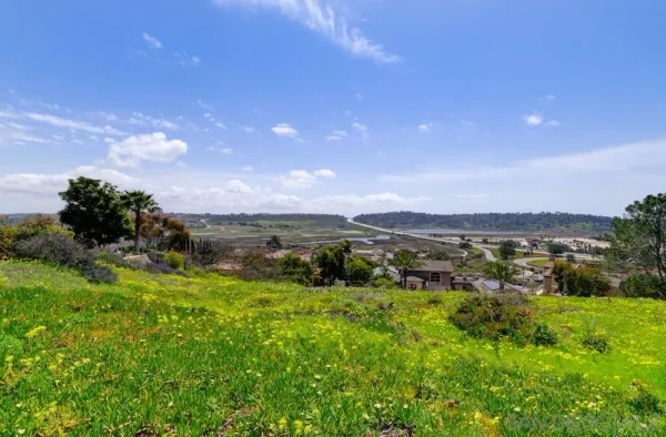 a view of a city with lush green forest
