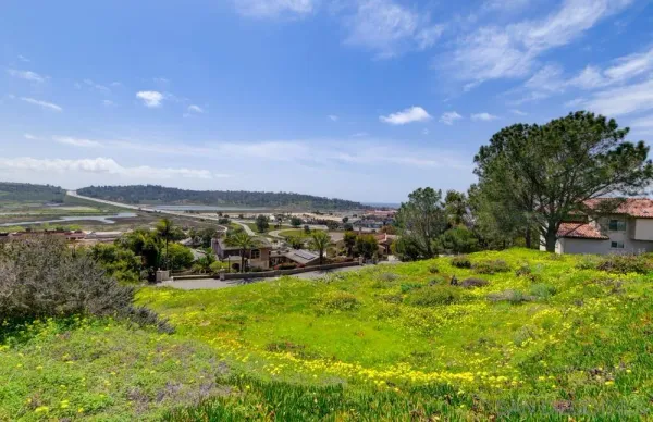 a view of a city with flower garden in front of it