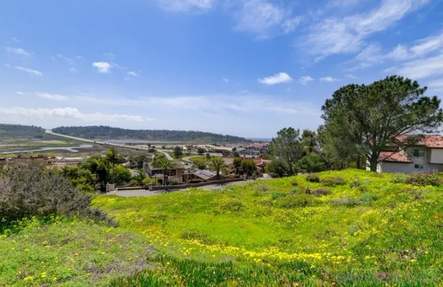 a view of a city with flower garden in front of it