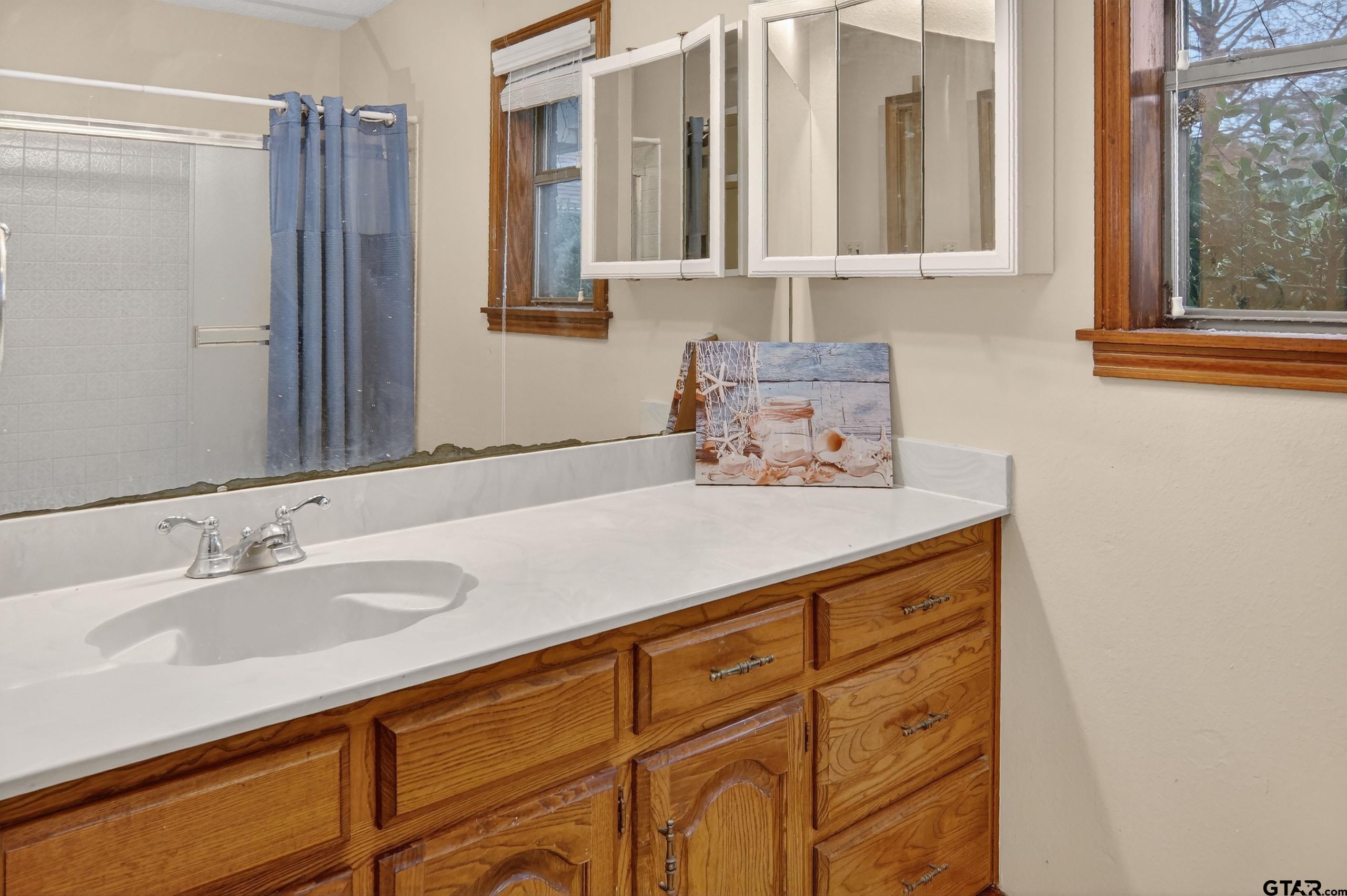 520 County Road 3445 Emory, TX 75440 - Photo 21 of 31 a bathroom with a sink and a mirror