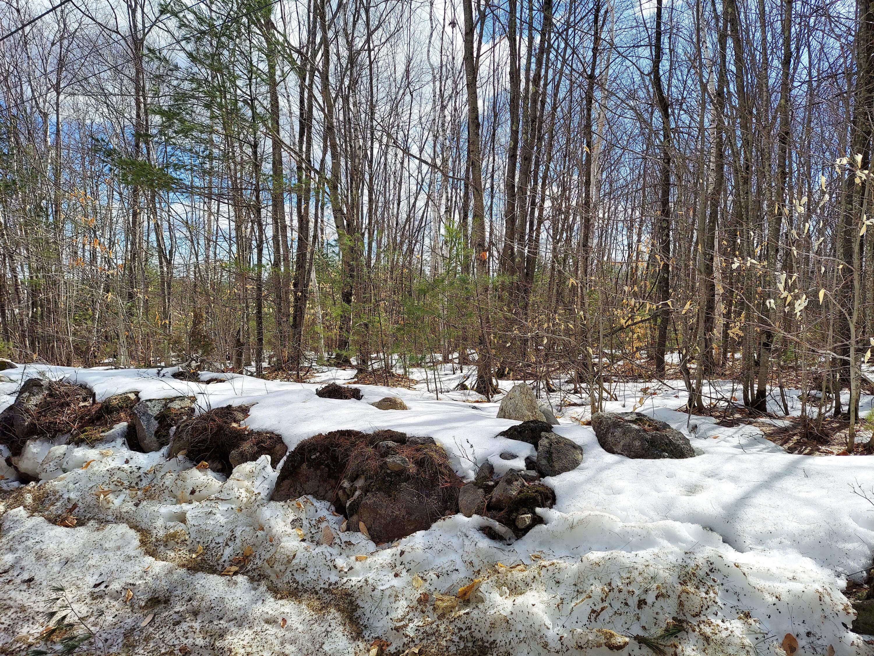 0 South Town Farm Road Oxford, ME 04270 - Photo 5 of 5 DC2