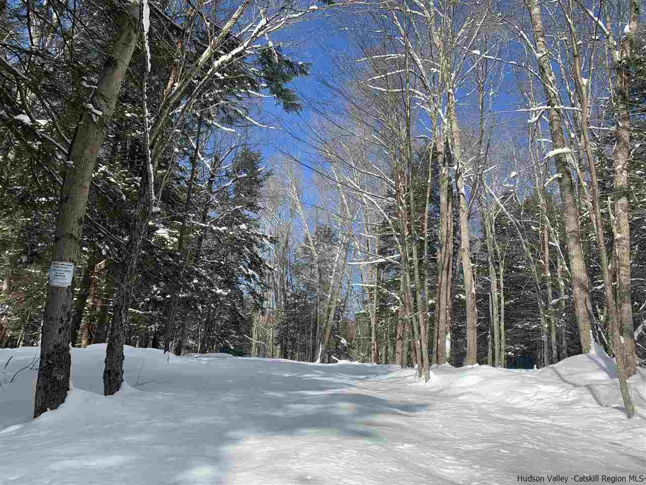 Tbd Tbd Fagawi Road Delancey, NY 13752 - Photo 12 of 15 Photo 19