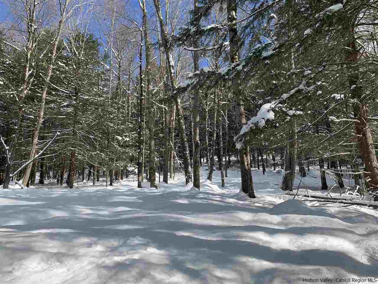 Tbd Tbd Fagawi Road Delancey, NY 13752 - Photo 13 of 15 Photo 20