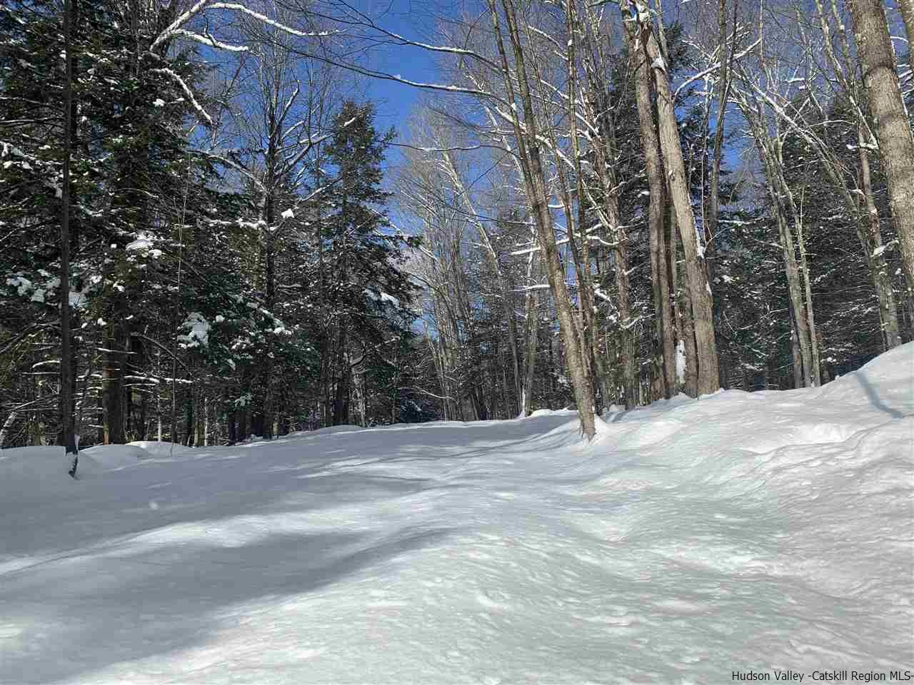 Tbd Tbd Fagawi Road Delancey, NY 13752 - Photo 14 of 15 Photo 21