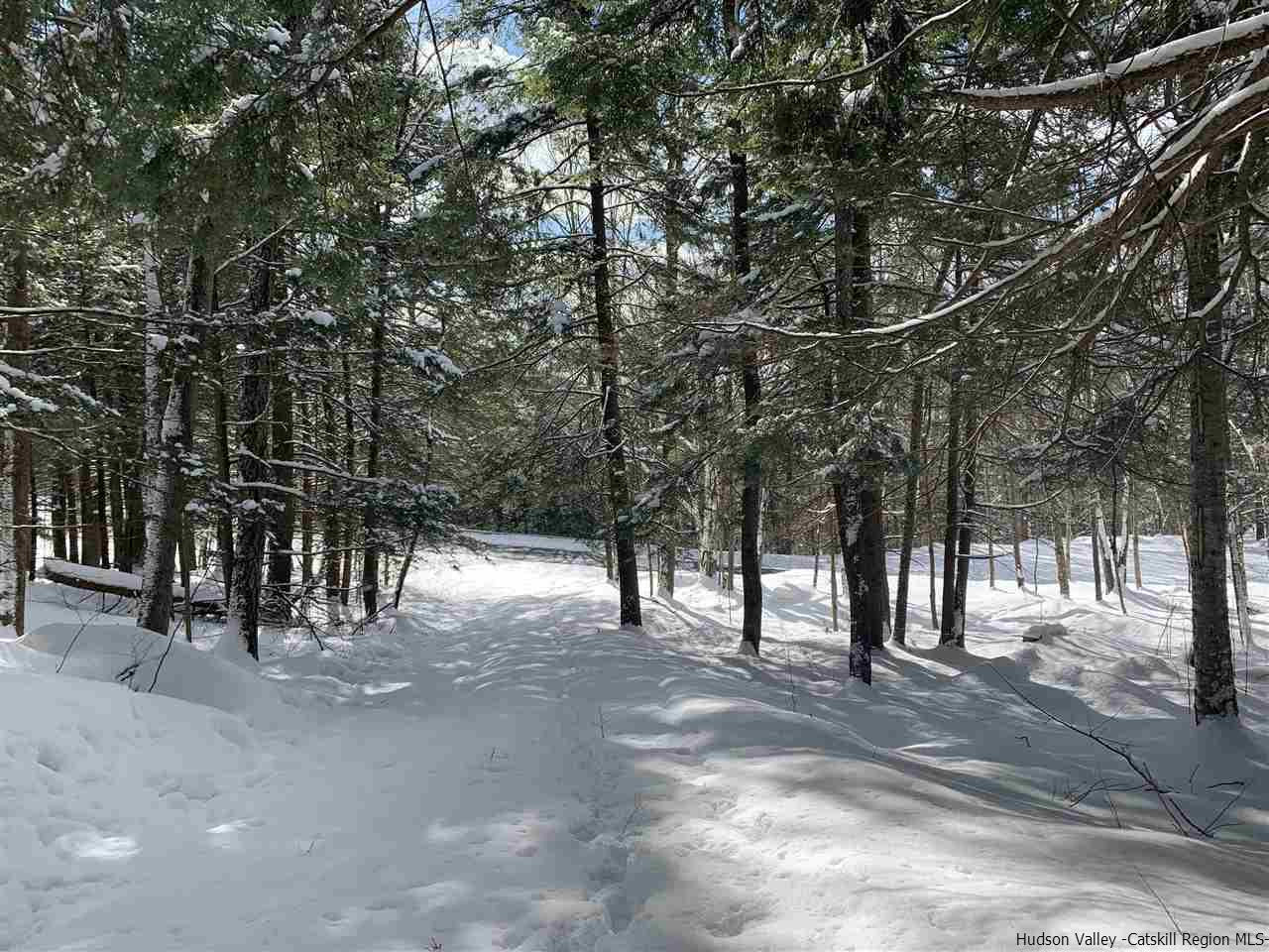Tbd Tbd Fagawi Road Delancey, NY 13752 - Photo 15 of 15 Photo 24