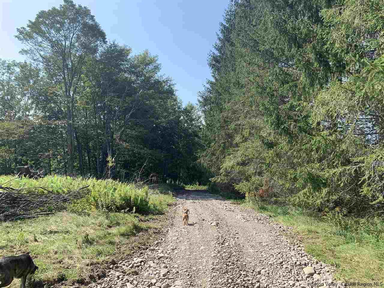 Tbd Tbd Fagawi Road Delancey, NY 13752 - Photo 2 of 15 Photo 2
