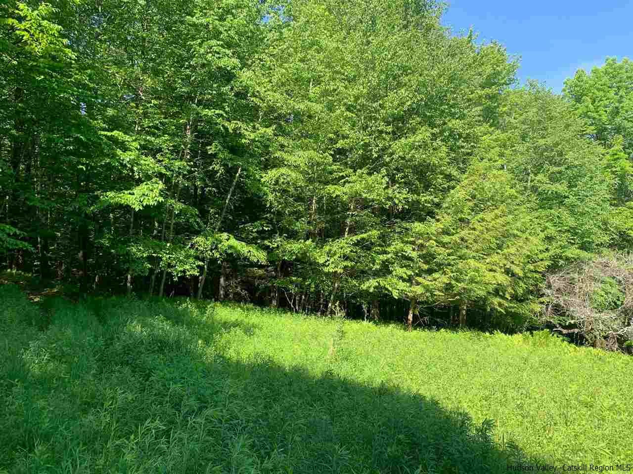 Tbd Tbd Fagawi Road Delancey, NY 13752 - Photo 3 of 15 Photo 3