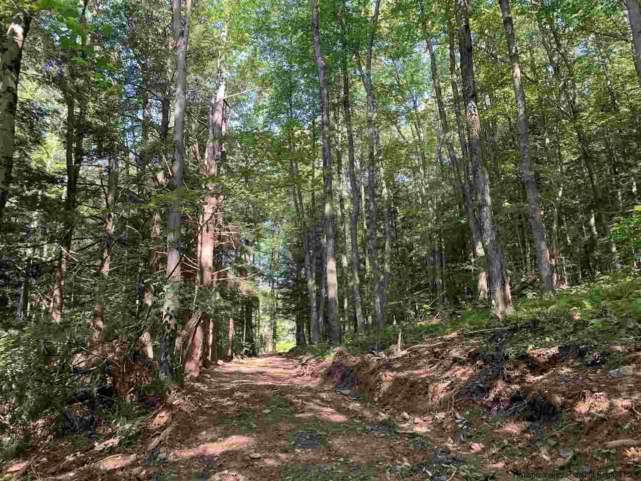 Tbd Tbd Fagawi Road Delancey, NY 13752 - Photo 4 of 15 Photo 4