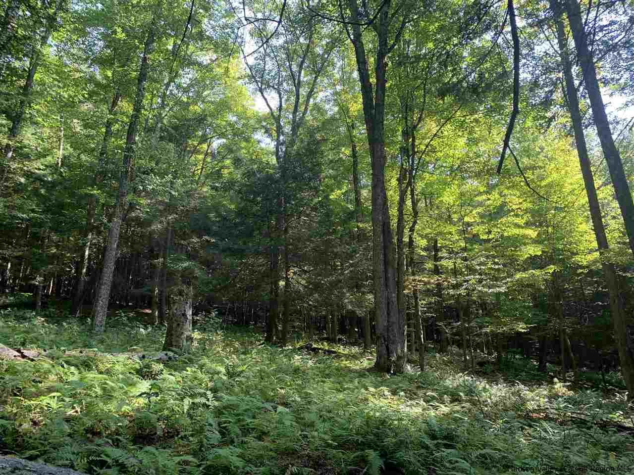 Tbd Tbd Fagawi Road Delancey, NY 13752 - Photo 5 of 15 Photo 5