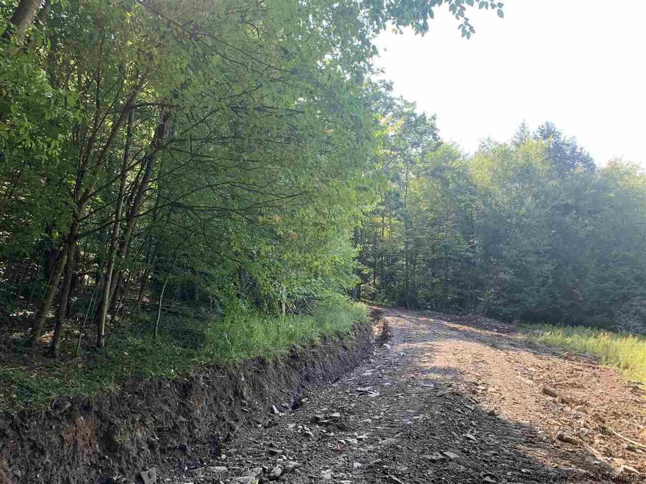 Tbd Tbd Fagawi Road Delancey, NY 13752 - Photo 7 of 15 Photo 7