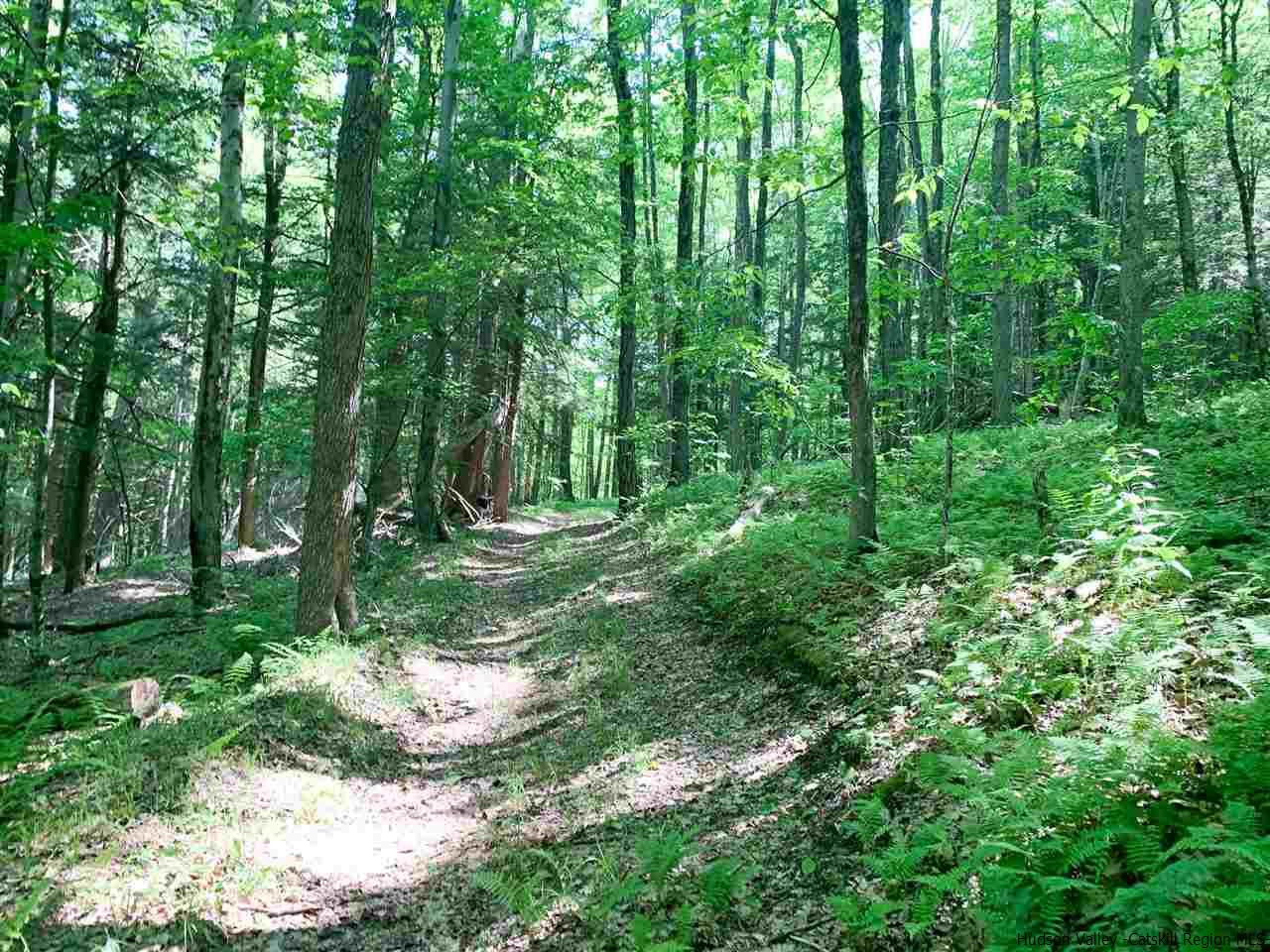 Tbd Tbd Fagawi Road Delancey, NY 13752 - Photo 8 of 15 Photo 10