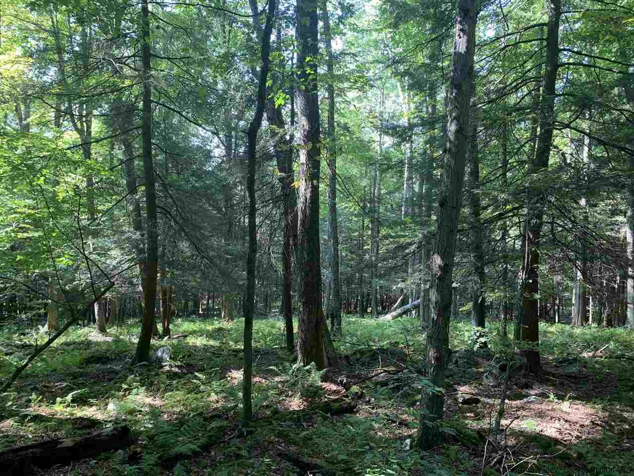 Tbd Tbd Fagawi Road Delancey, NY 13752 - Photo 9 of 15 Photo 12