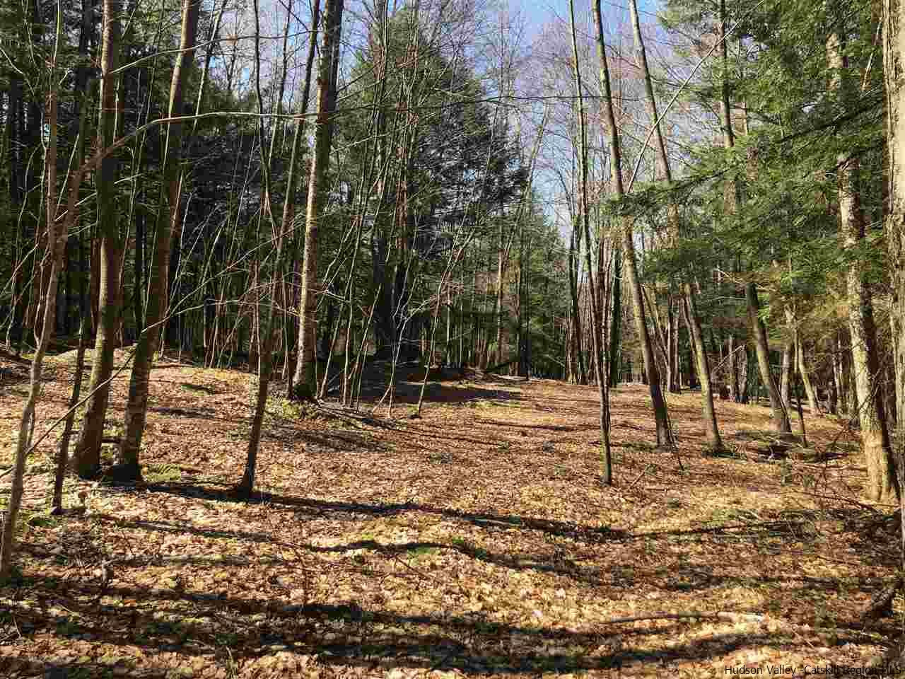 Tbd Tbd Fagawi Road Delancey, NY 13752 - Photo 10 of 15 Photo 17