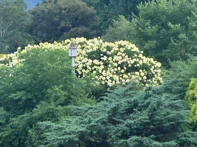 $749,000 | 208 Rich Drive, Blairsville, GA 30512