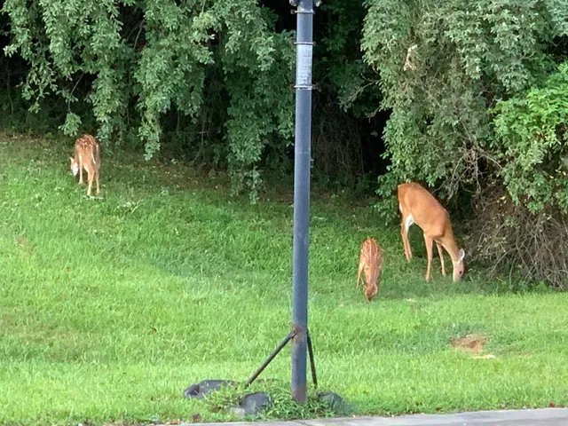 $749,000 | 208 Rich Drive, Blairsville, GA 30512