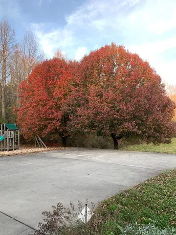 $749,000 | 208 Rich Drive, Blairsville, GA 30512