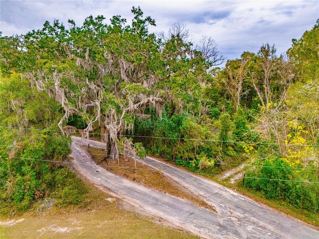4505 Northwest 152nd Lane Reddick, FL 32686 - Photo 5 of 11
