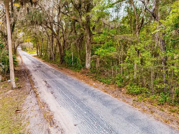 a view of a road with plants and trees