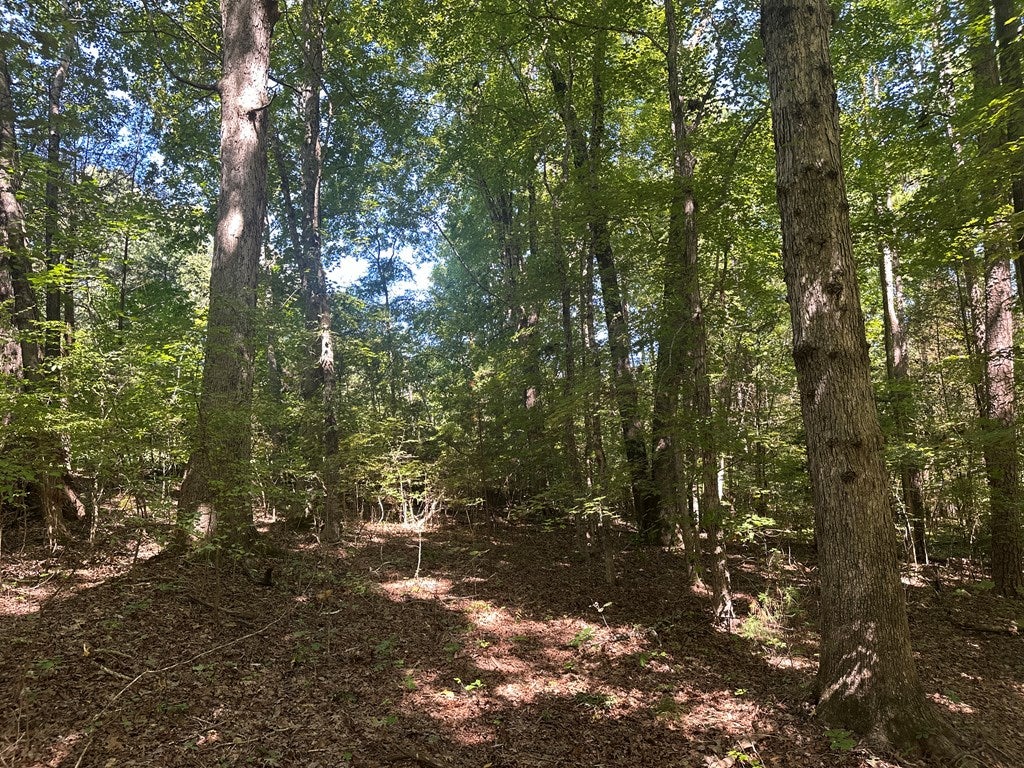 97 Patten Road Clarksville, VA 23927 - Photo 50 of 53 Gallery Image 50
