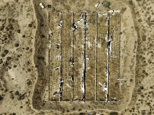 $210,000 | 32800 223rd Street East, Llano, CA 93544