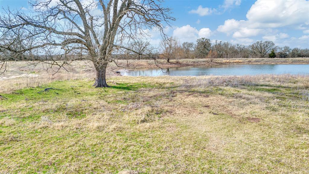 15694 County Road 834 Blue Ridge, TX 75424 - Photo 5 of 14 a view of a yard with an trees