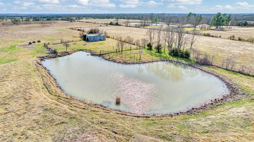 15694 County Road 834 Blue Ridge, TX 75424 - Photo 7 of 14 a view of a swimming pool and lake