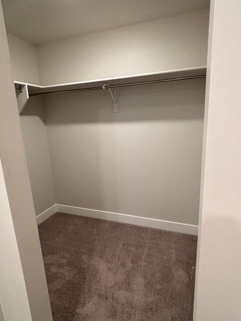 3898 East Fossil Way Washington, UT 84780 - Photo 22 of 31 Master Closet