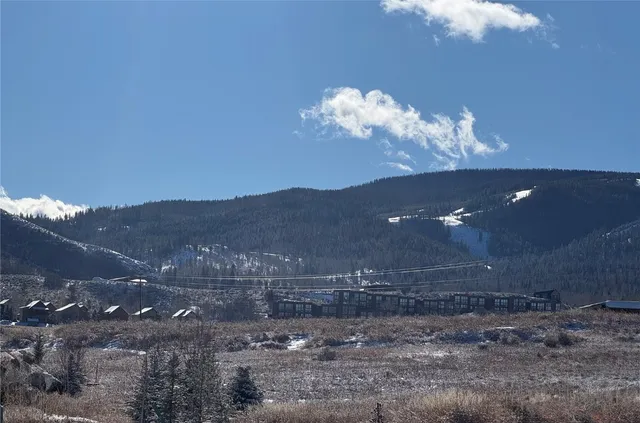 a view of a yard in a city