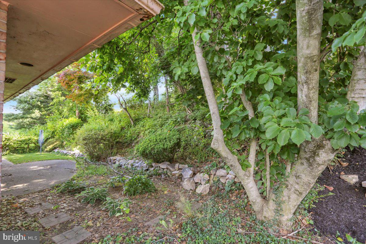 1815 North 16th Street Reading, PA 19604 - Photo 40 of 46