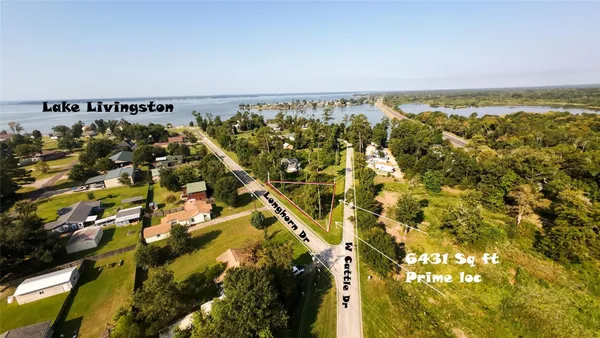 $9,500 | 186 North Cattle Drive, Onalaska, TX 77360