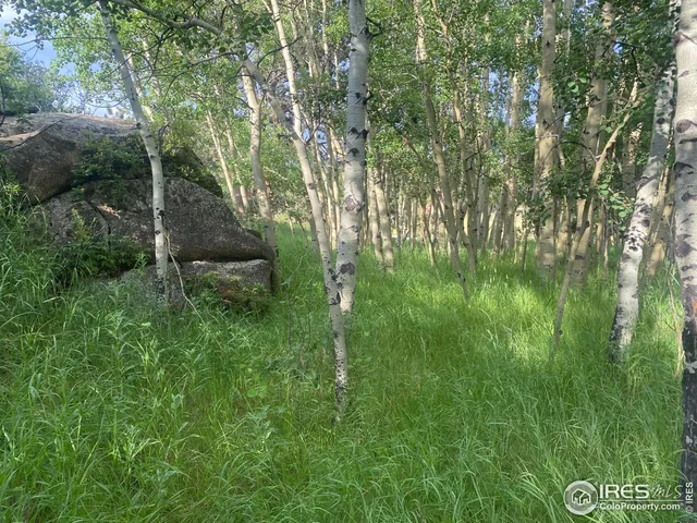 a view of outdoor space and yard