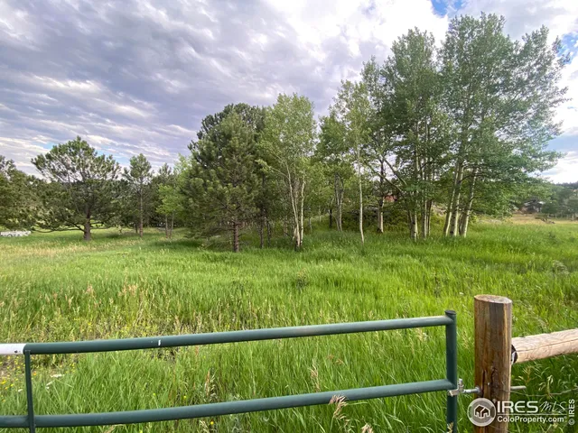 a view of a garden from a roof deck