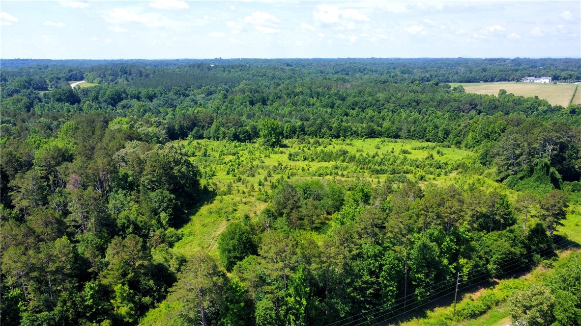 0 East Bennett Road Westminster, SC 29693 - Photo 5 of 7 Vast, verdant acreage offers a prime opportunity for development or a private estate amid a natural, wooded setting.