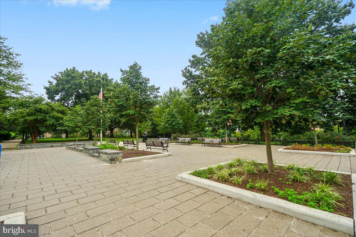 2129 Florida Avenue Northwest, Unit 407 Washington, DC 20008 - Photo 36 of 46 Serene park with lush greenery.