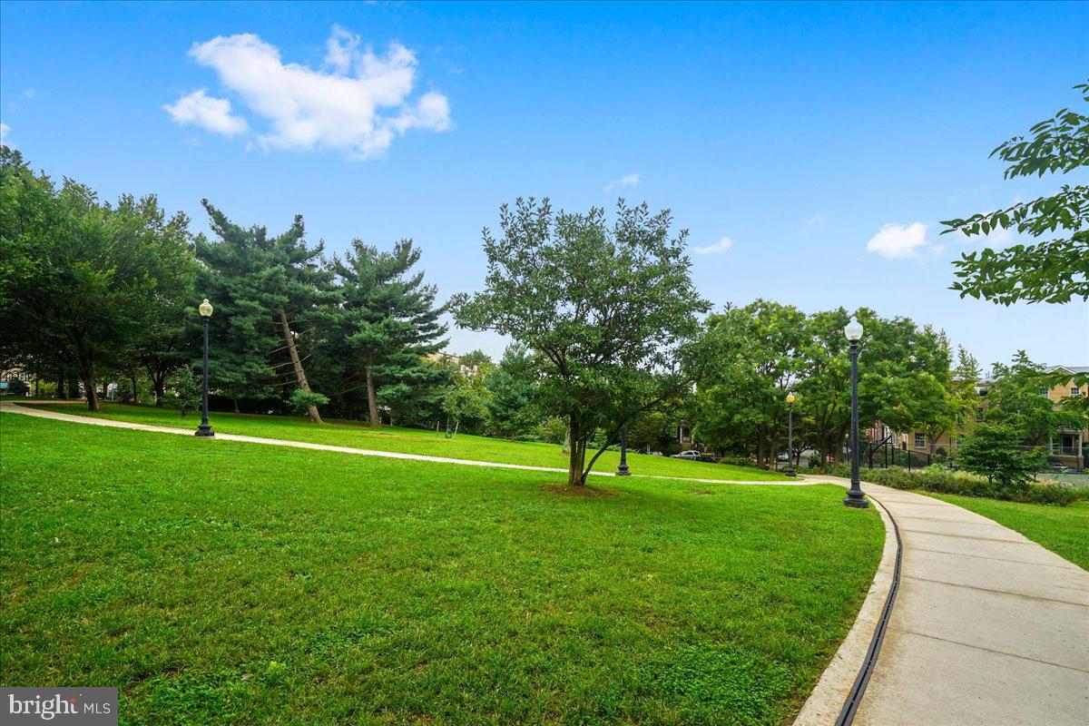 2129 Florida Avenue Northwest, Unit 407 Washington, DC 20008 - Photo 41 of 46 Serene park path under blue skies.