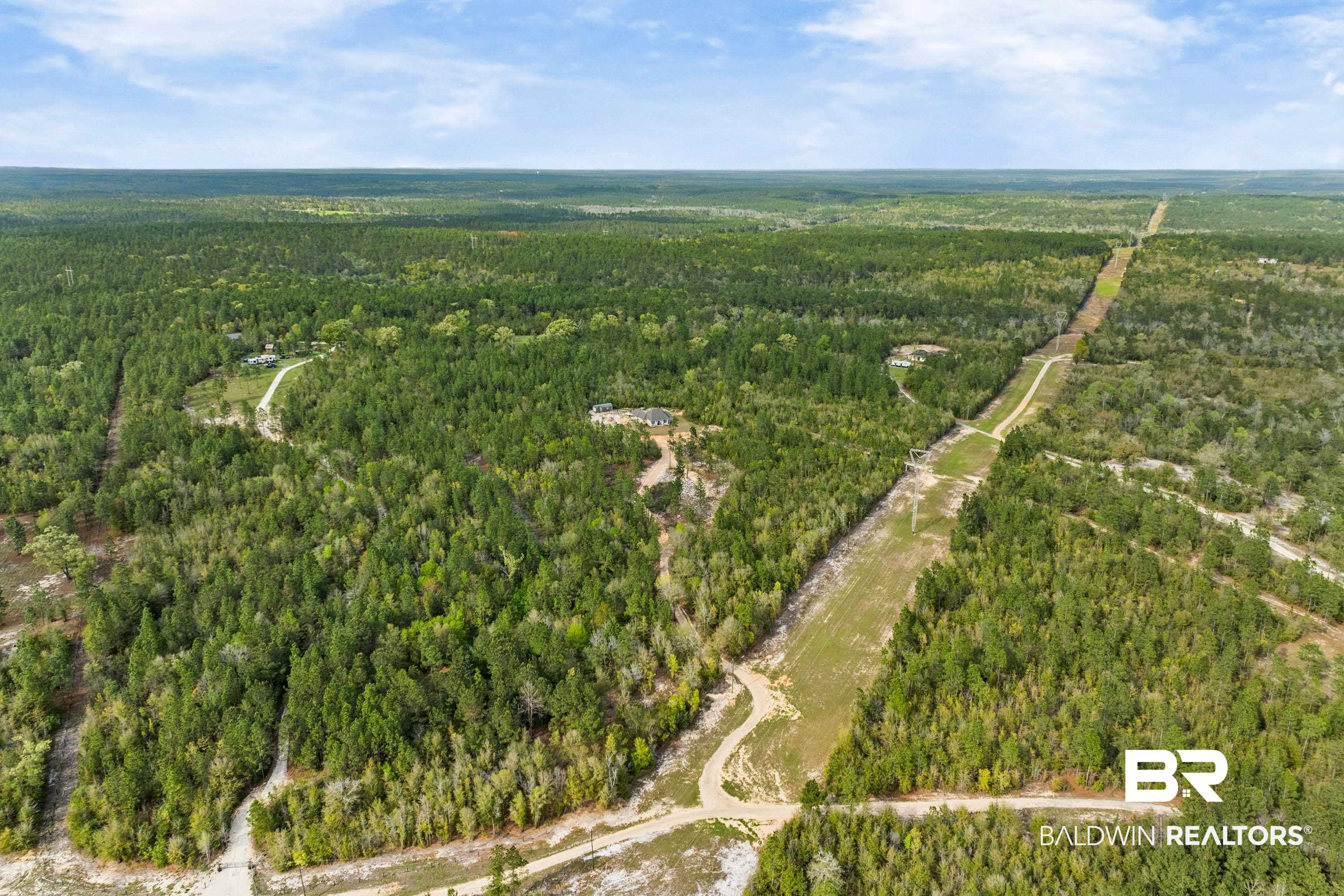 7150 Powell Road, Unit LOT 6A Eight Mile, AL 36613 - Photo 30 of 35 Drone / aerial view of a forest