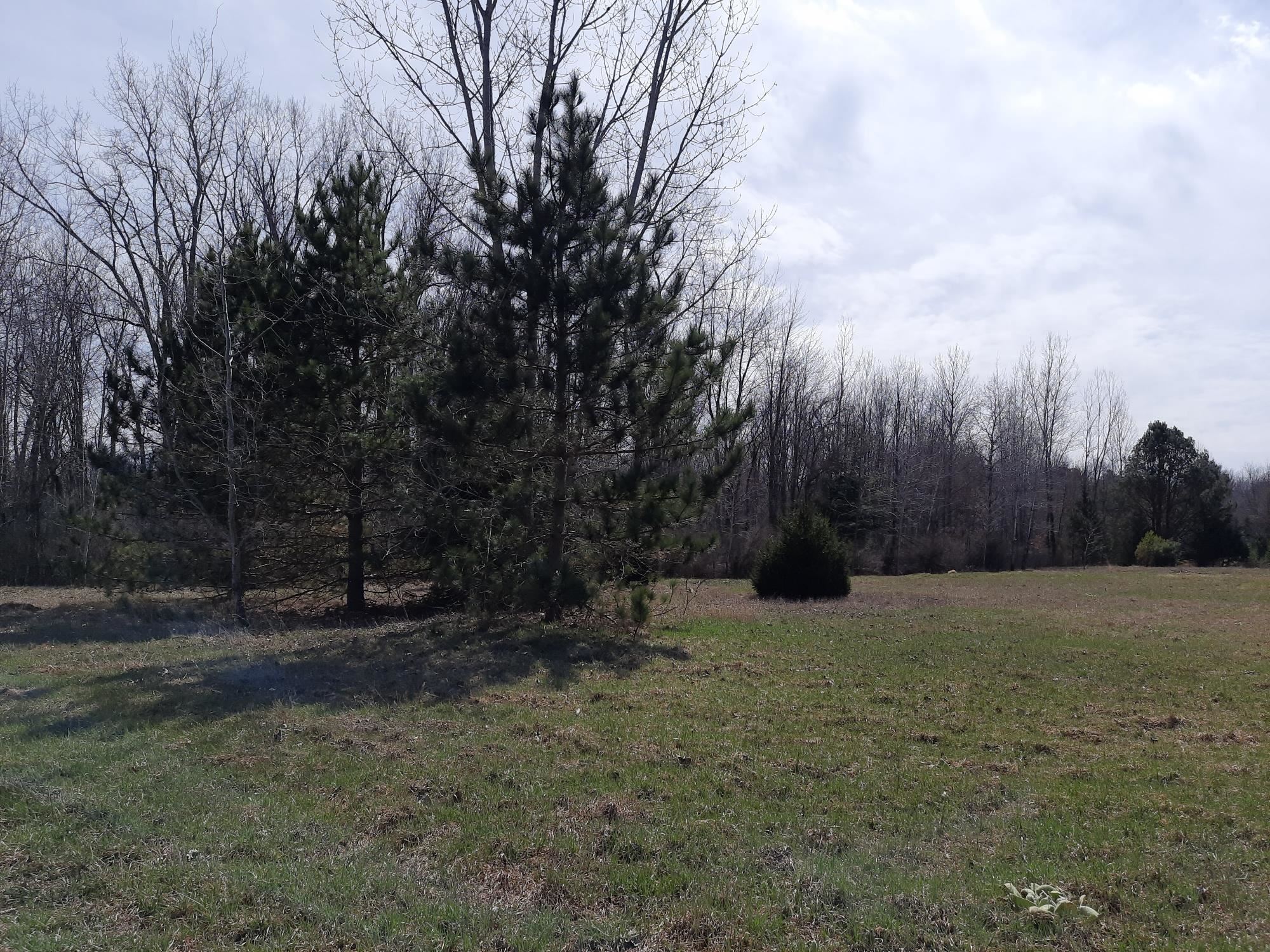 Vl State Road Millington, MI 48746 - Photo 1 of 7
