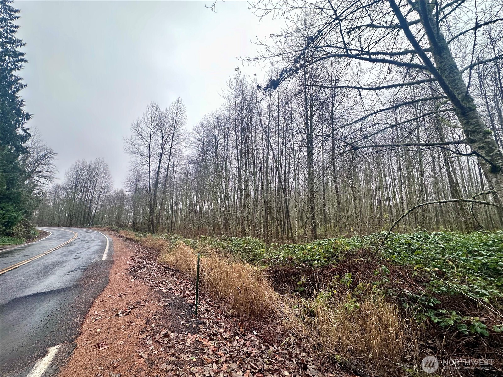1230 Silverbrook Road Randle, WA 98377 - Photo 5 of 11 a view of a backyard of the house