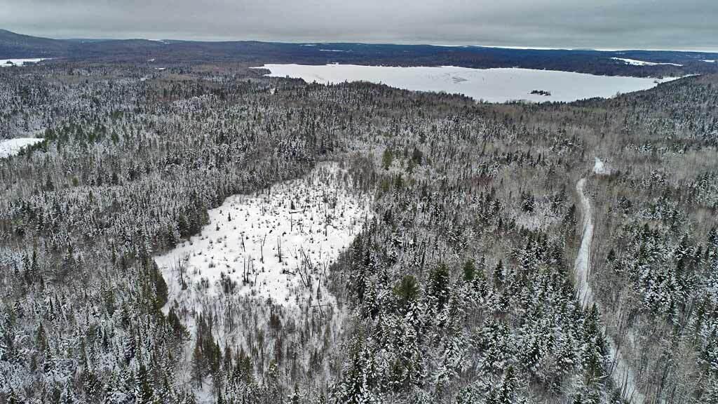 Lot 14 Mountain Road Houlton, ME 04730 - Photo 10 of 75 land-lake-access-log-cabin