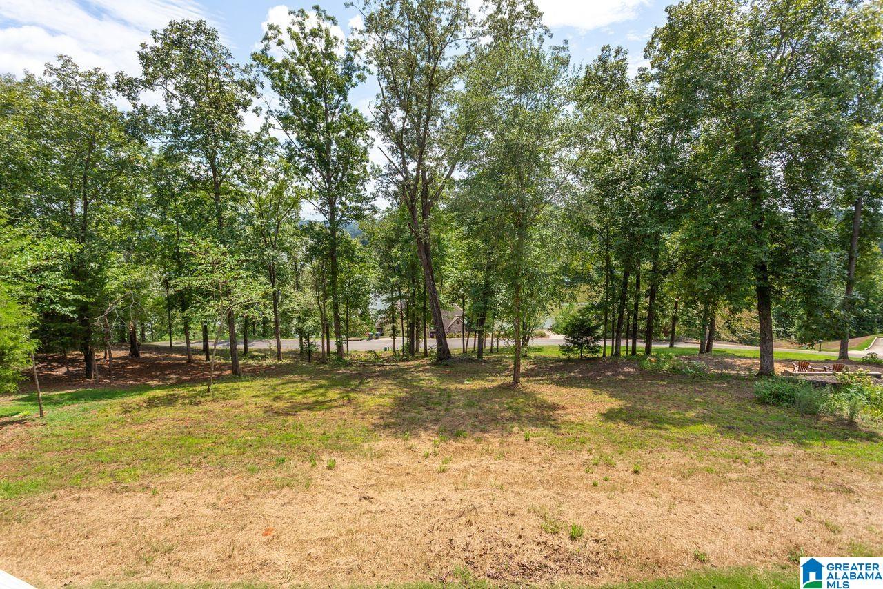 215 Overlook Ridge Lincoln, AL 35096 - Photo 43 of 49