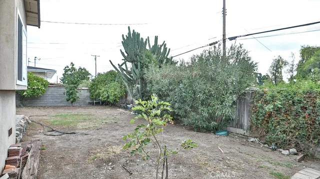 a view of a yard with a tree in the background