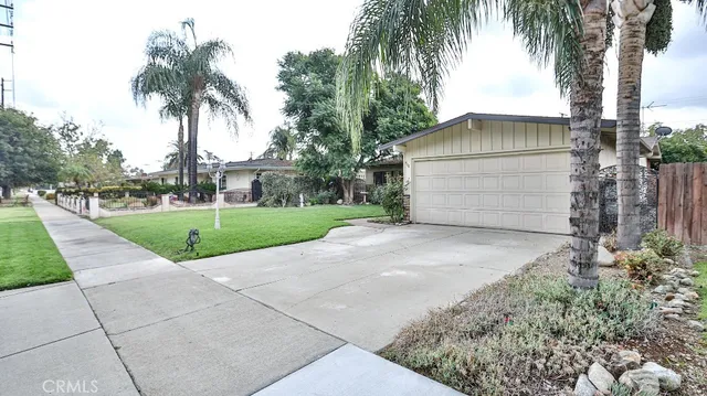 a view of a backyard with palm trees