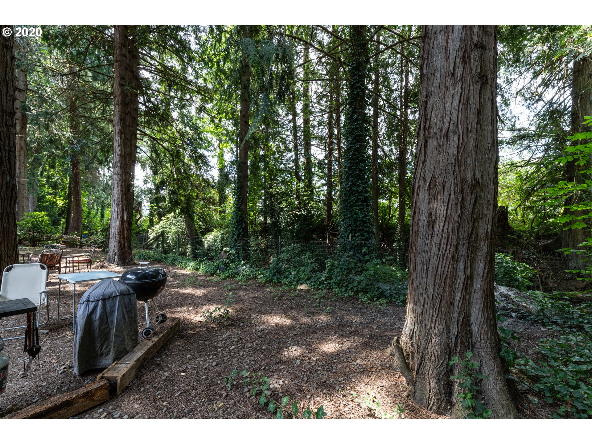 32125 South Shady Dell Road Molalla, OR 97038 - Photo 6 of 32 Gallery Image 6