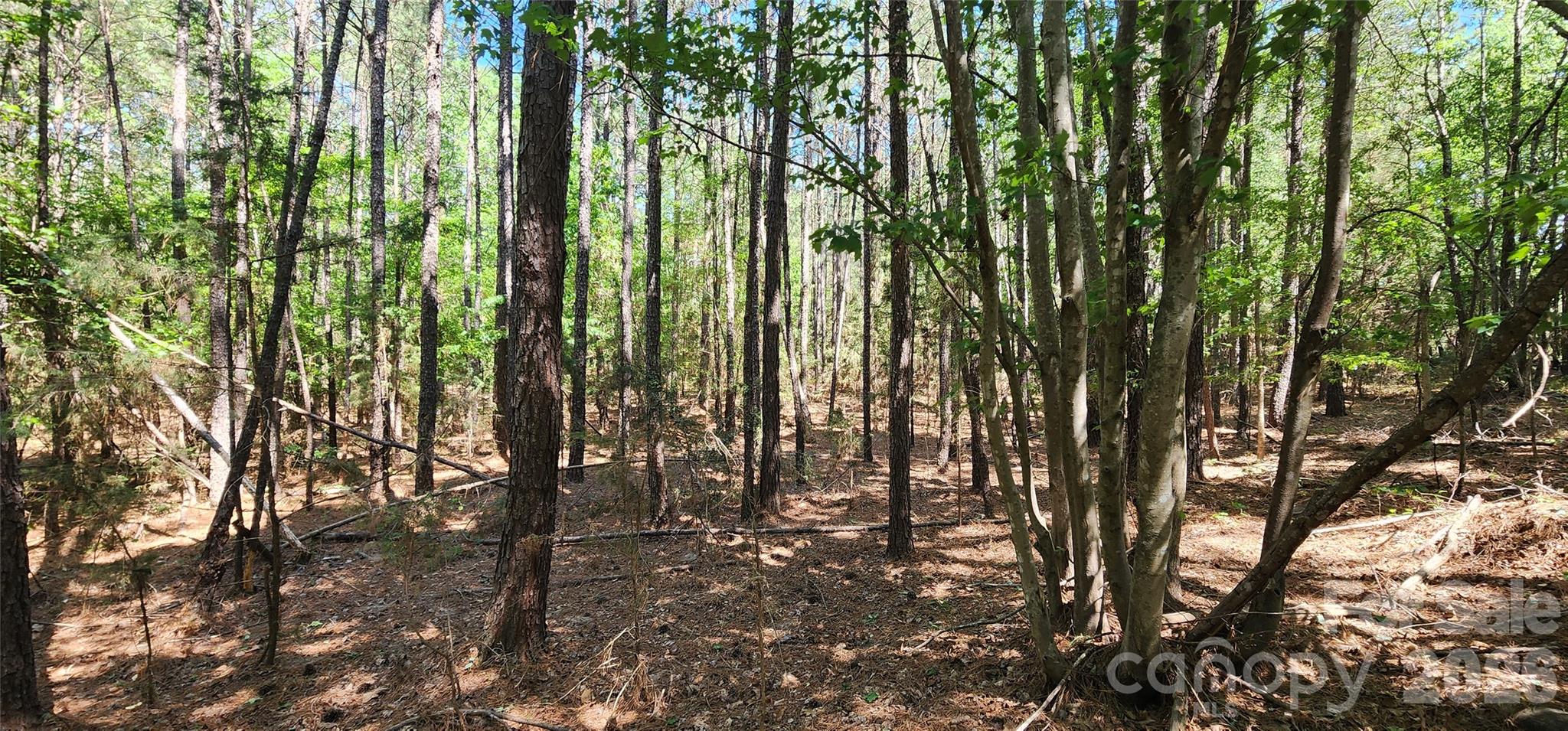 4870 Old Airport Road Winnsboro, SC 29180 - Photo 31 of 38