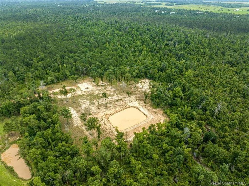 421 Allen-Dale Road Ragley, LA 70657 - Photo 4 of 4