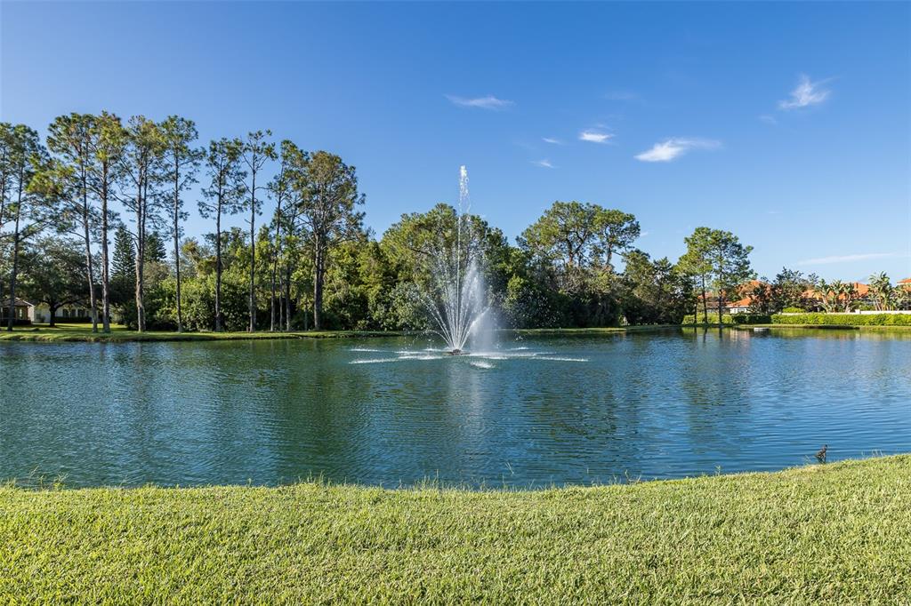 1710 Lakestone Drive Trinity, FL 34655 - Photo 41 of 82